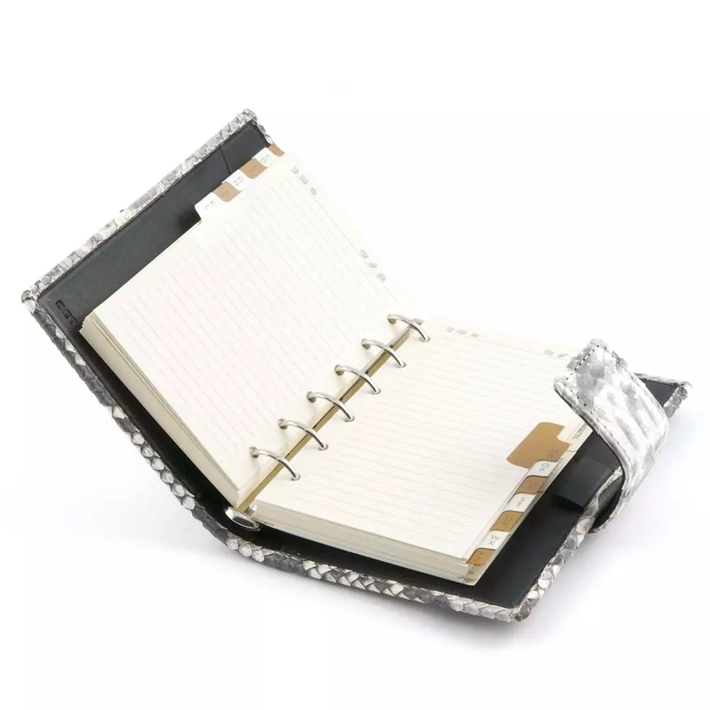 pocket_planer_pythonleder_26.webp Pocket Planer, Pythonleder, Braun