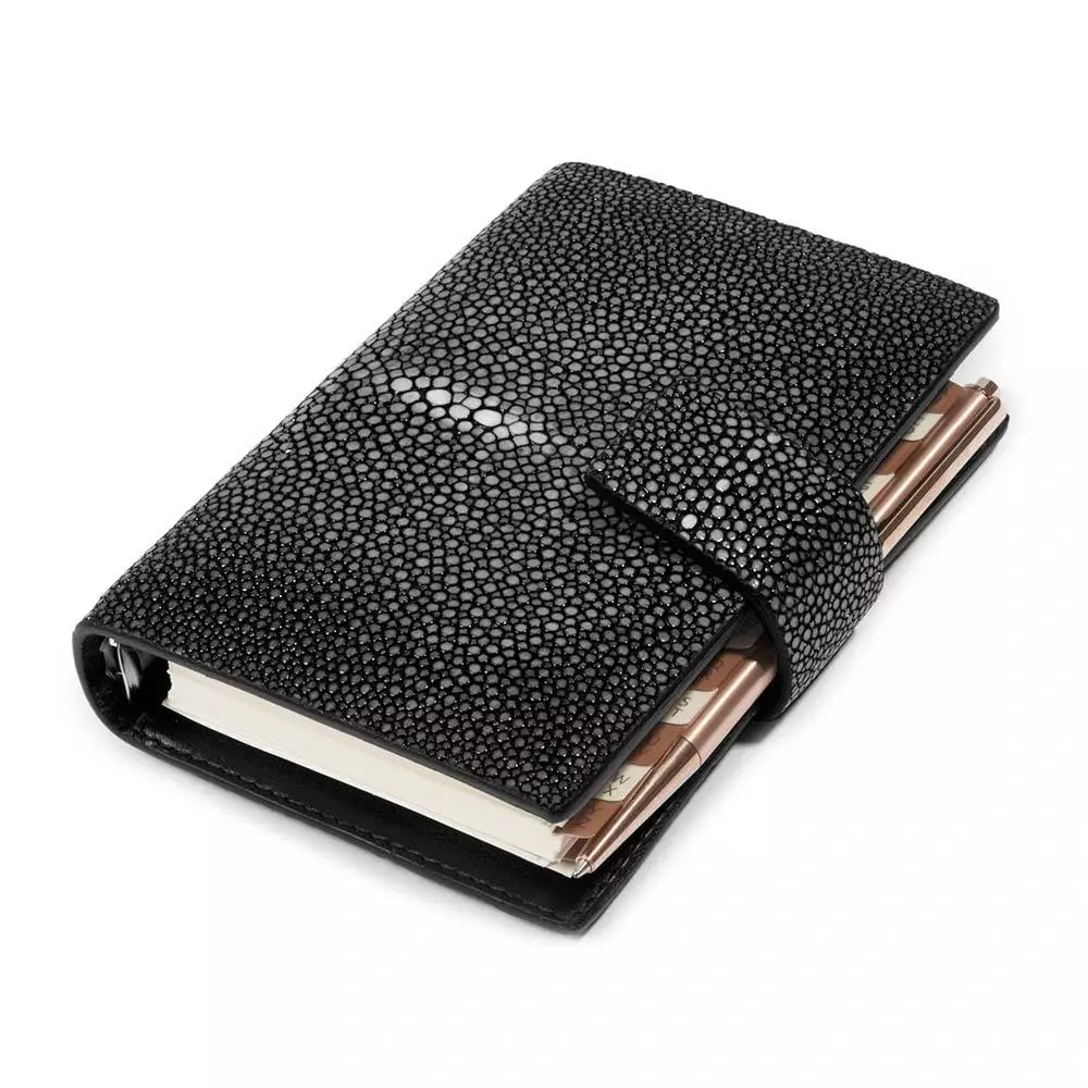 Pocket Planer, Rochenleder, Türkis