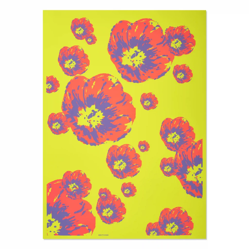 geschenkpapier_klatschmohn_pinkviolettgelb_50_x_70_cm_3b_1 geschenkpapier_klatschmohn_pinkviolettgelb_50_x_70_cm_3b_1