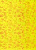Geschenkpapier Zitrus gelb 50  x 70 cm, 3 Bögen
