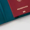 Passport Caddy Petrol Green - 2